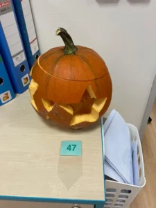 47.jpg