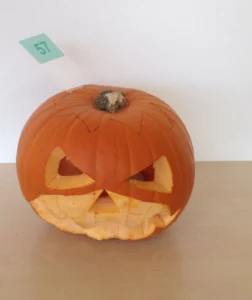 57.jpg