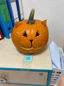 59.jpg