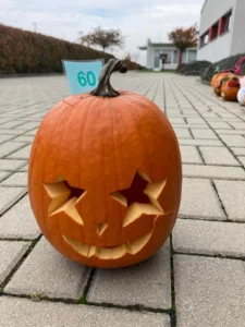 60.jpg