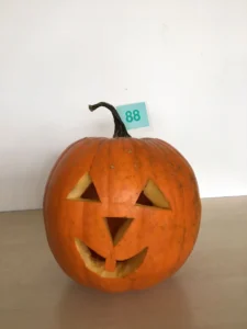 88.jpg